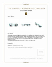 17.98 Ct.Tw.Total Carat Weight Bluish Green Aquamarine Pair from Brazil Appraisal