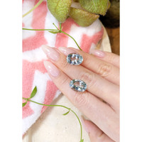 17.98&nbsp;Ct.Tw.Total Carat Weight Aquamarine Pair from Brazil Life Style