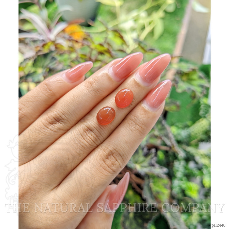 6.70 Ct.Tw. Cabochon Carnelian Pair from Brazil