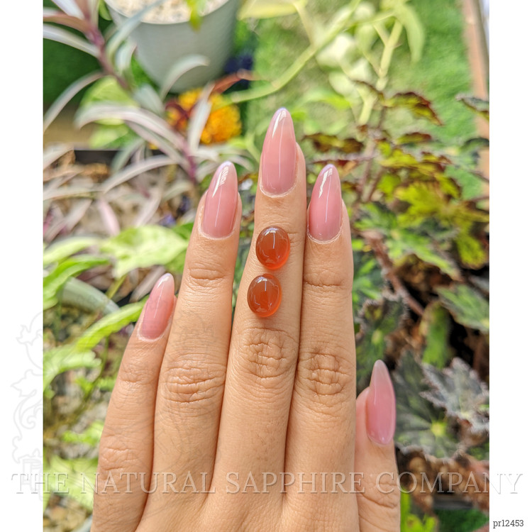 6.88 Ct.Tw. Cabochon Carnelian Pair from Brazil