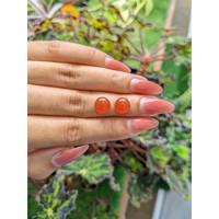 5.93&nbsp;Ct.Tw.Total Carat Weight Cabochon Carnelian Pair from Brazil Life Style