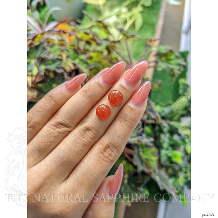 6.47 Ct.Tw. Cabochon Carnelian Pair from Brazil