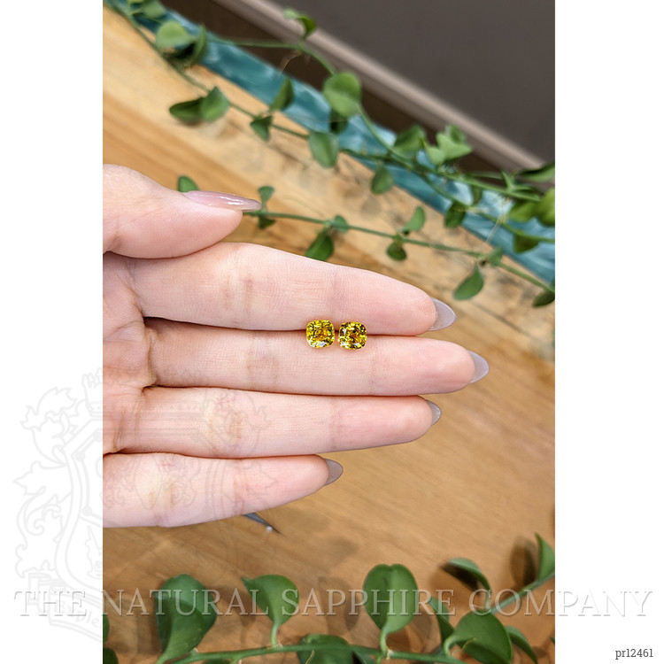 2.57 Ct.Tw. Yellow Sapphire Pair from Ceylon (Sri Lanka)