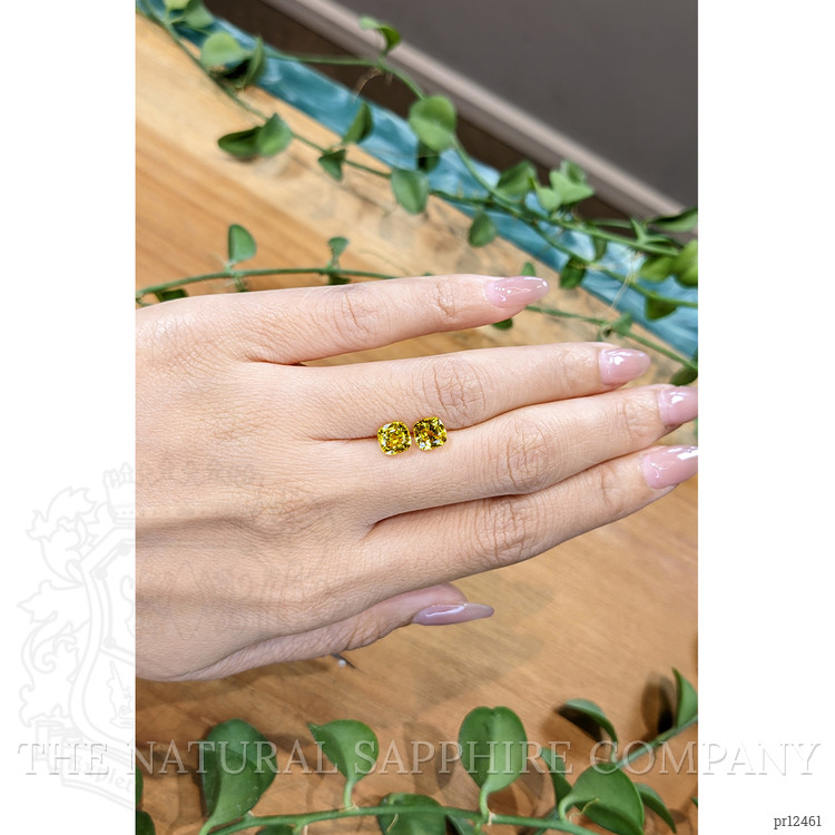 2.57 Ct.Tw. Yellow Sapphire Pair from Ceylon (Sri Lanka)