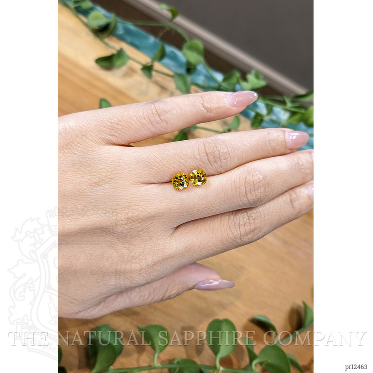 2.89 Ct.Tw. Orangish Yellow Sapphire Pair from Ceylon (Sri Lanka)