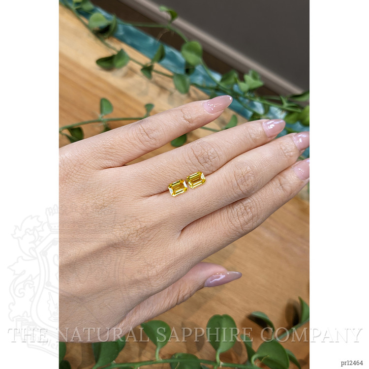 2.26 Ct.Tw. Yellow Sapphire Pair from Ceylon (Sri Lanka)