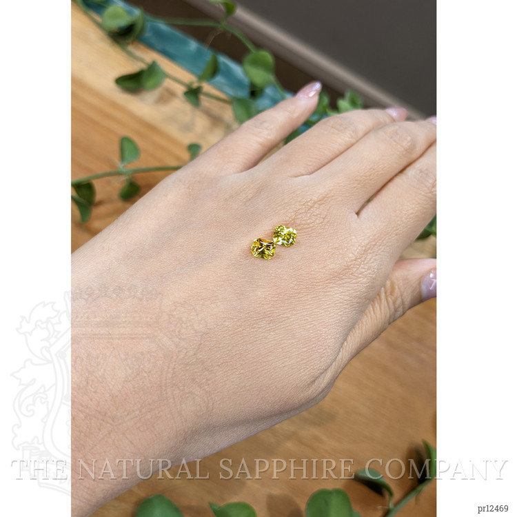 2.00 Ct.Tw. Yellow Sapphire Pair from Ceylon (Sri Lanka)