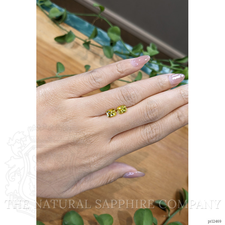 2.00 Ct.Tw. Yellow Sapphire Pair from Ceylon (Sri Lanka)