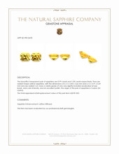 1.99&nbsp;Ct.Tw.Total Carat Weight Yellow Sapphire Pair from Ceylon (Sri Lanka) Appraisal