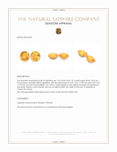 2.92&nbsp;Ct.Tw.Total Carat Weight Orangish Yellow Sapphire Pair from Ceylon (Sri Lanka) Appraisal