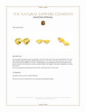 4.09&nbsp;Ct.Tw.Total Carat Weight Yellow Sapphire Pair from Ceylon (Sri Lanka) Appraisal