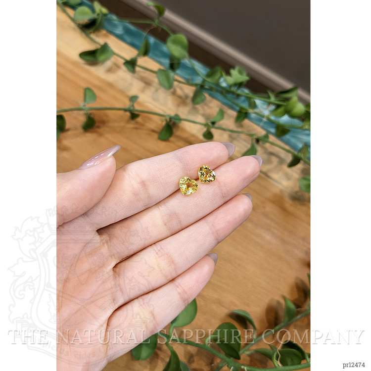 4.09 Ct.Tw. Yellow Sapphire Pair from Ceylon (Sri Lanka)