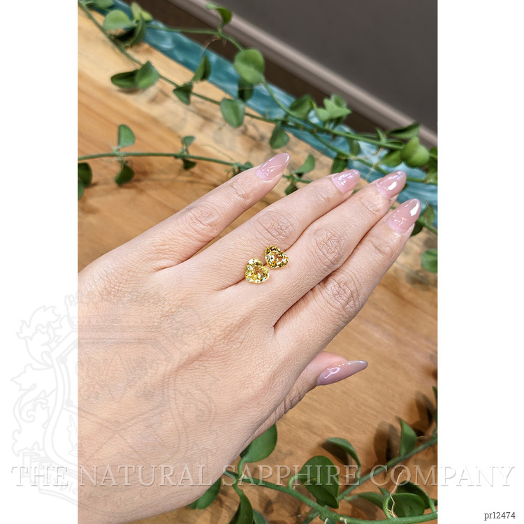 4.09 Ct.Tw. Yellow Sapphire Pair from Ceylon (Sri Lanka)