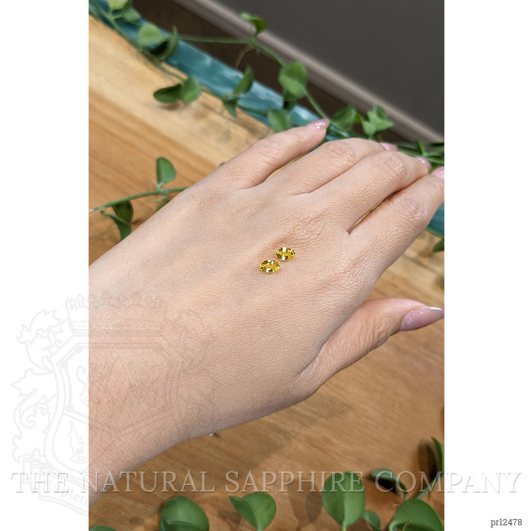 1.22 Ct.Tw. Yellow Sapphire Pair from Ceylon (Sri Lanka)
