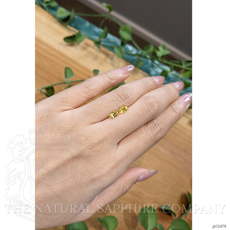 1.22 Ct.Tw. Yellow Sapphire Pair from Ceylon (Sri Lanka)