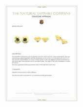 0.80 Ct.Tw.Total Carat Weight Yellow Sapphire Pair from Ceylon (Sri Lanka) Appraisal
