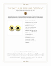 0.80 Ct.Tw.Total Carat Weight Yellow Sapphire Pair from Ceylon (Sri Lanka) Scan Report