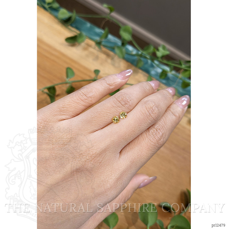 0.80 Ct.Tw. Yellow Sapphire Pair from Ceylon (Sri Lanka)