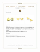 0.72 Ct.Tw.Total Carat Weight Yellow Sapphire Pair from Ceylon (Sri Lanka) Appraisal