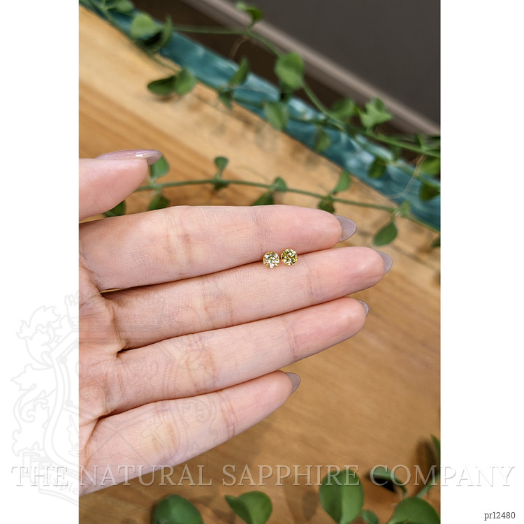 0.72 Ct.Tw. Yellow Sapphire Pair from Ceylon (Sri Lanka)