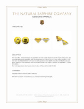 1.15 Ct.Tw.Total Carat Weight Yellow Sapphire Pair from Ceylon (Sri Lanka) Appraisal