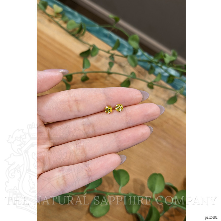 1.15 Ct.Tw. Yellow Sapphire Pair from Ceylon (Sri Lanka)