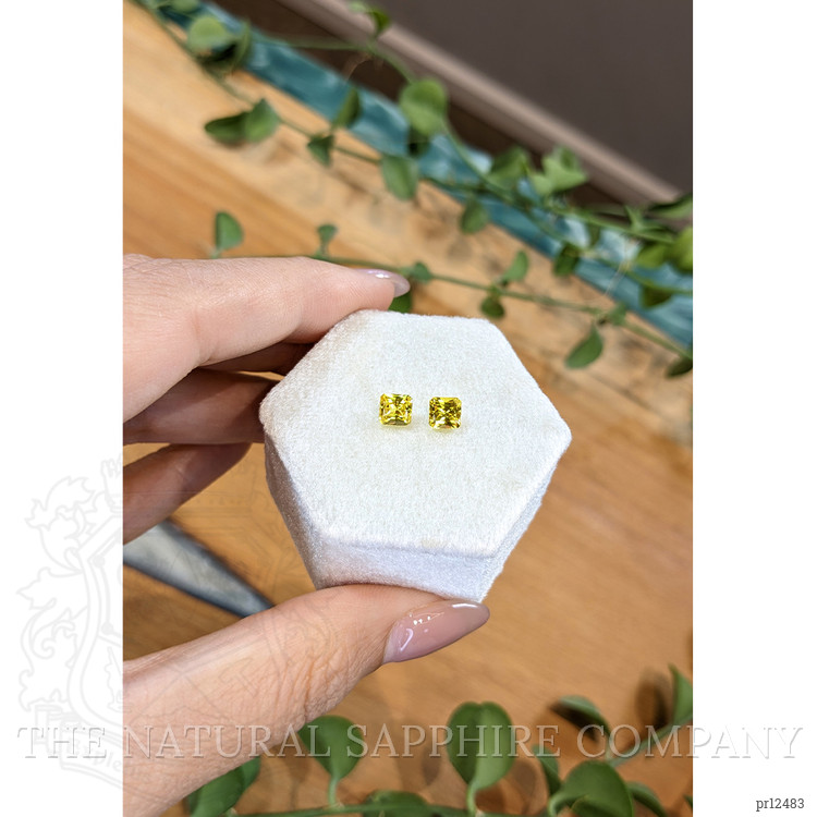 1.55 Ct.Tw. Yellow Sapphire Pair from Ceylon (Sri Lanka)