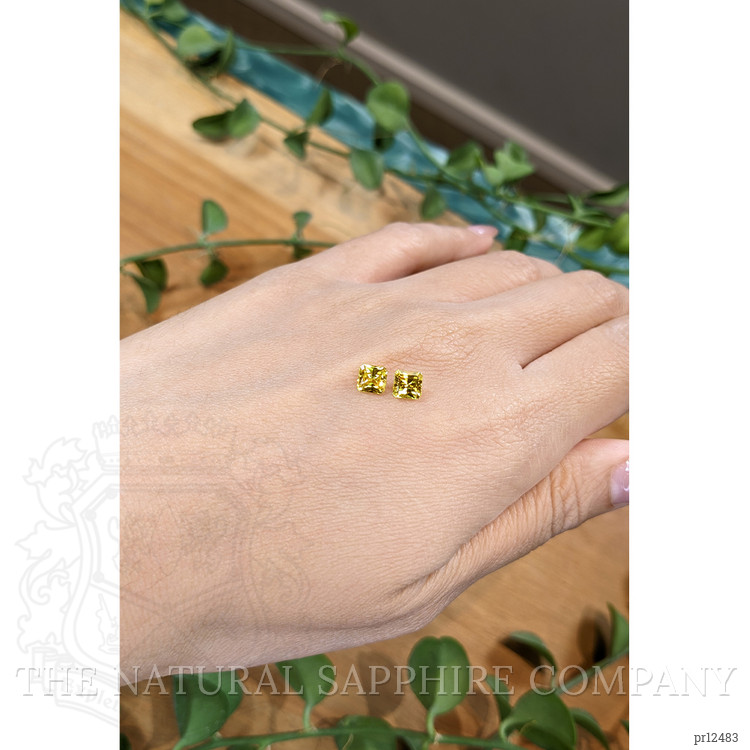 1.55 Ct.Tw. Yellow Sapphire Pair from Ceylon (Sri Lanka)