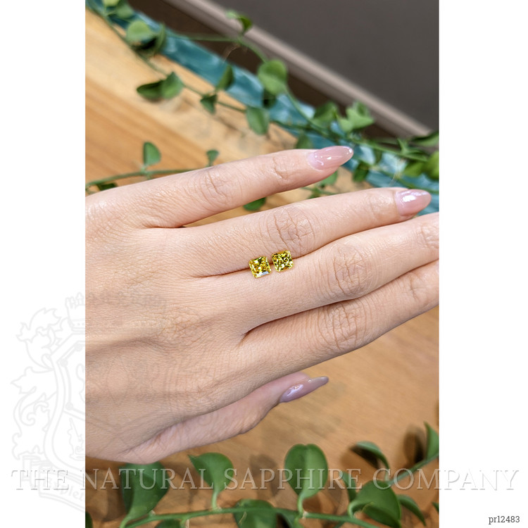 1.55 Ct.Tw. Yellow Sapphire Pair from Ceylon (Sri Lanka)