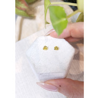 0.74&nbsp;Ct.Tw.Total Carat Weight Yellow Sapphire Pair from Ceylon (Sri Lanka) Life Style
