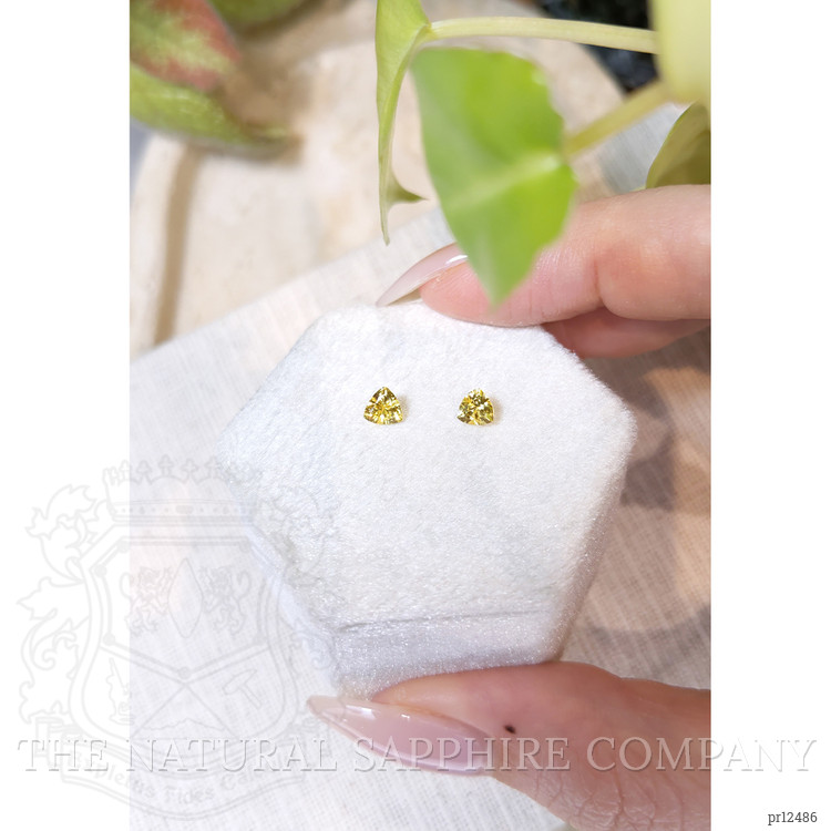 0.74 Ct.Tw. Yellow Sapphire Pair from Ceylon (Sri Lanka)