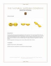 3.83 Ct.Tw.Total Carat Weight Yellow Sapphire Pair from Ceylon (Sri Lanka) Appraisal