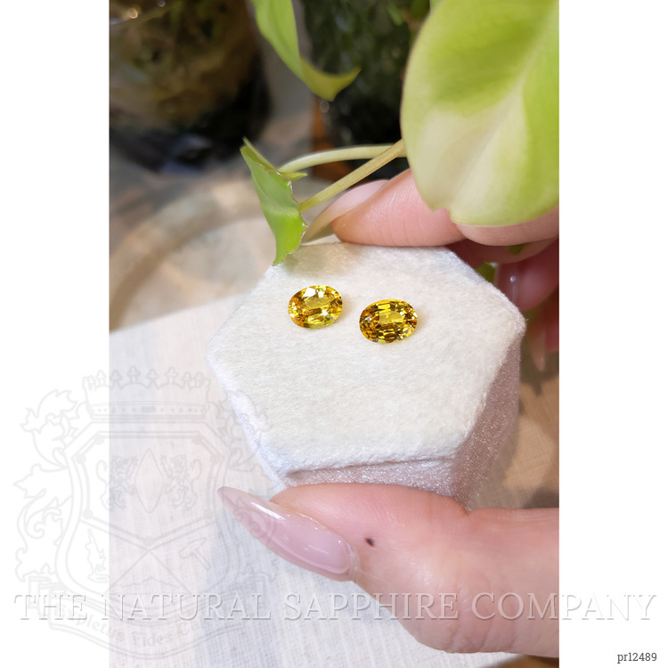 3.83 Ct.Tw. Yellow Sapphire Pair from Ceylon (Sri Lanka)