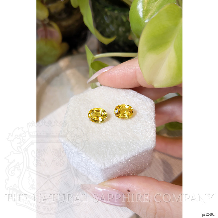 4.23 Ct.Tw. Yellow Sapphire Pair from Ceylon (Sri Lanka)