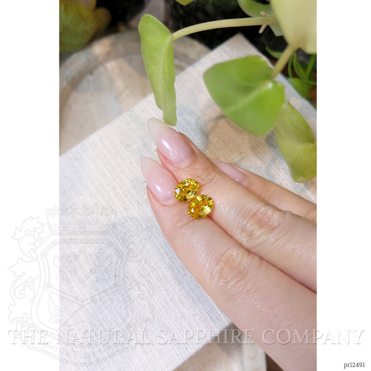 4.23 Ct.Tw. Yellow Sapphire Pair from Ceylon (Sri Lanka)