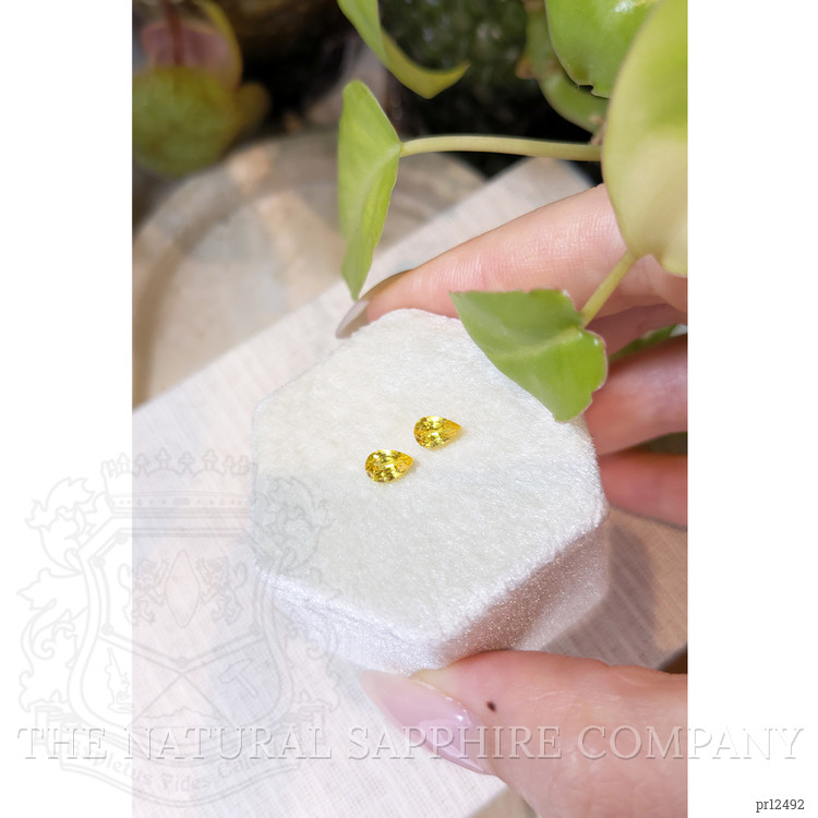 1.06 Ct.Tw. Yellow Sapphire Pair from Ceylon (Sri Lanka)