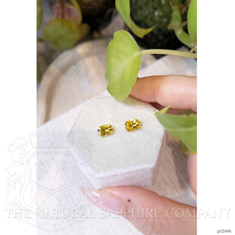 2.32 Ct.Tw. Yellow Sapphire Pair from Ceylon (Sri Lanka)