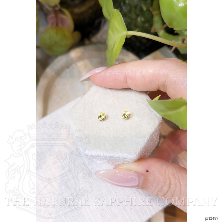 0.80 Ct.Tw. Yellow Sapphire Pair from Ceylon (Sri Lanka)