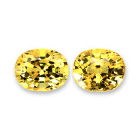 7.17&nbsp;Ct.Tw.Total Carat Weight Yellow Sapphire Pair from Ceylon (Sri Lanka) Video