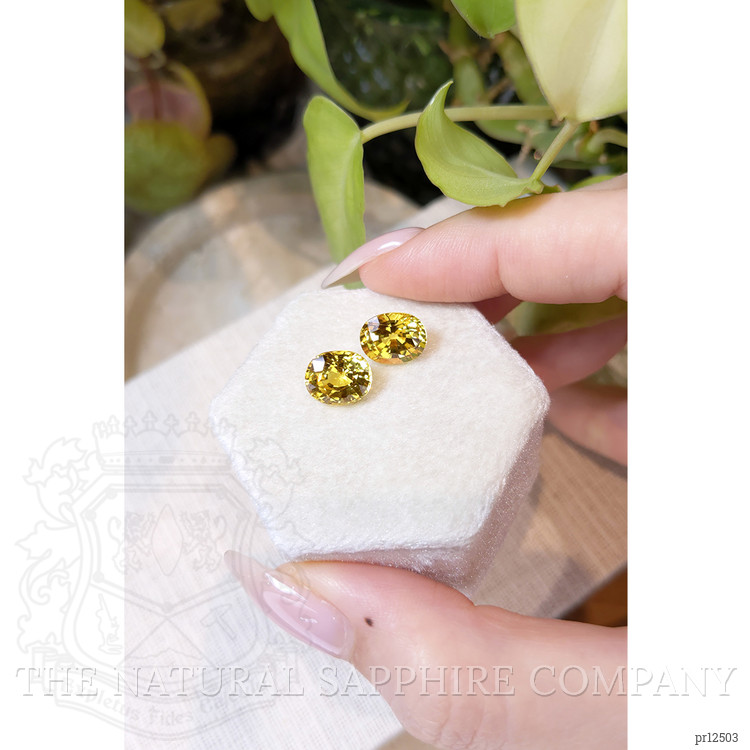 7.17 Ct.Tw. Yellow Sapphire Pair from Ceylon (Sri Lanka)