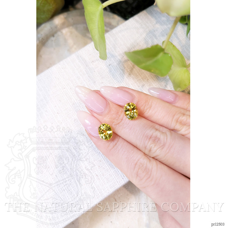 7.17 Ct.Tw. Yellow Sapphire Pair from Ceylon (Sri Lanka)