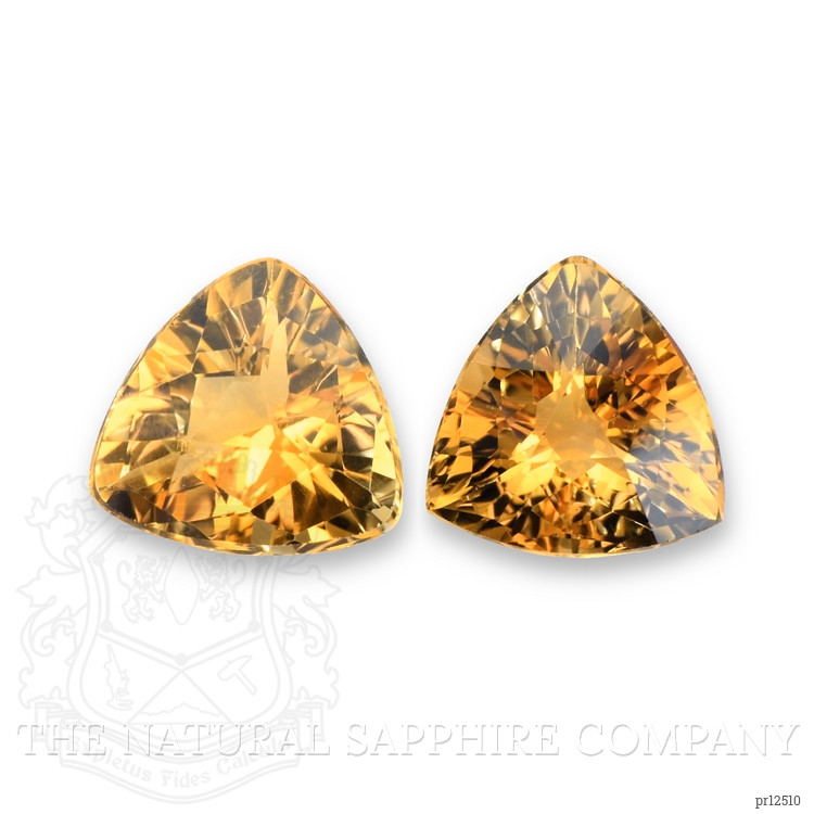 9.21 Ct.Tw. Citrine Pair from Brazil