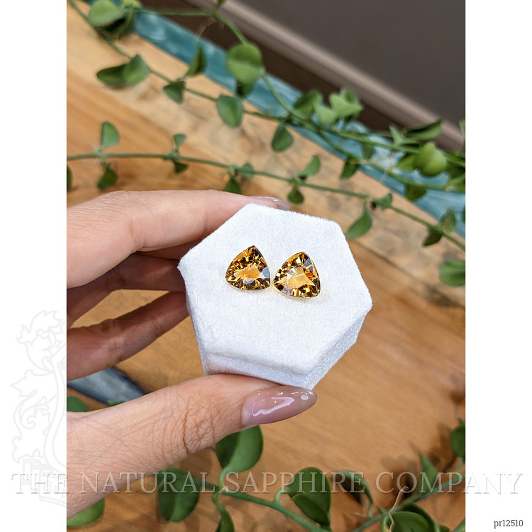 9.21 Ct.Tw. Citrine Pair from Brazil