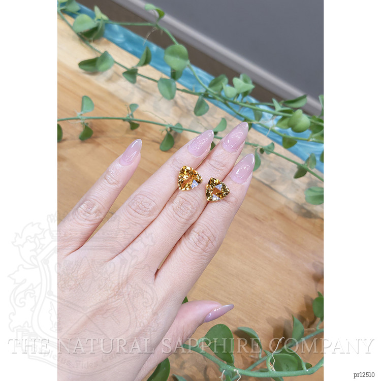 9.21 Ct.Tw. Citrine Pair from Brazil