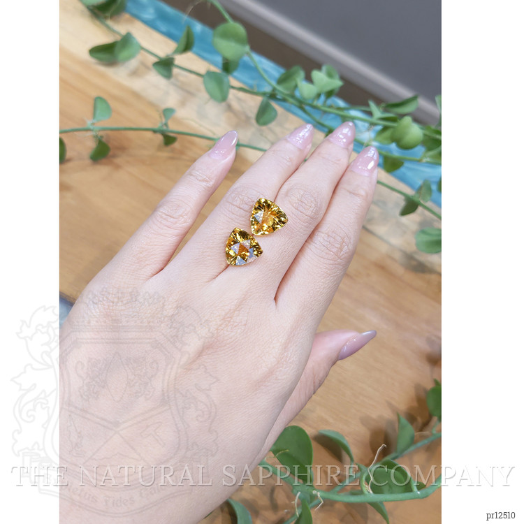 9.21 Ct.Tw. Citrine Pair from Brazil