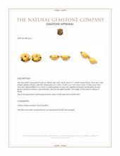 9.19 Ct.Tw.Total Carat Weight Citrine Pair from Brazil Appraisal