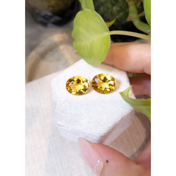 9.19 Ct.Tw. Citrine Pair from Brazil