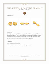 8.96 Ct.Tw.Total Carat Weight Yellow Citrine Pair from Brazil Appraisal