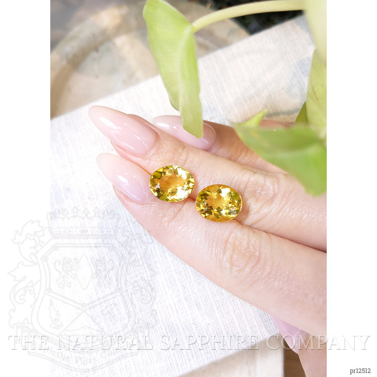 8.96 Ct.Tw. Citrine Pair from Brazil