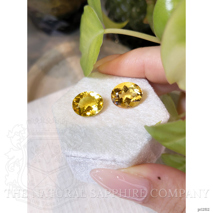 8.96 Ct.Tw. Citrine Pair from Brazil